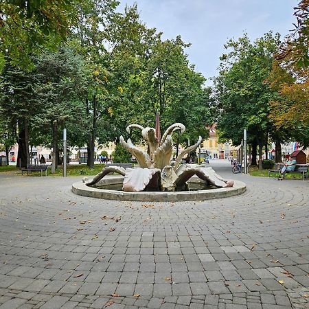Roman Apartman Сремська Митровиця Екстер'єр фото