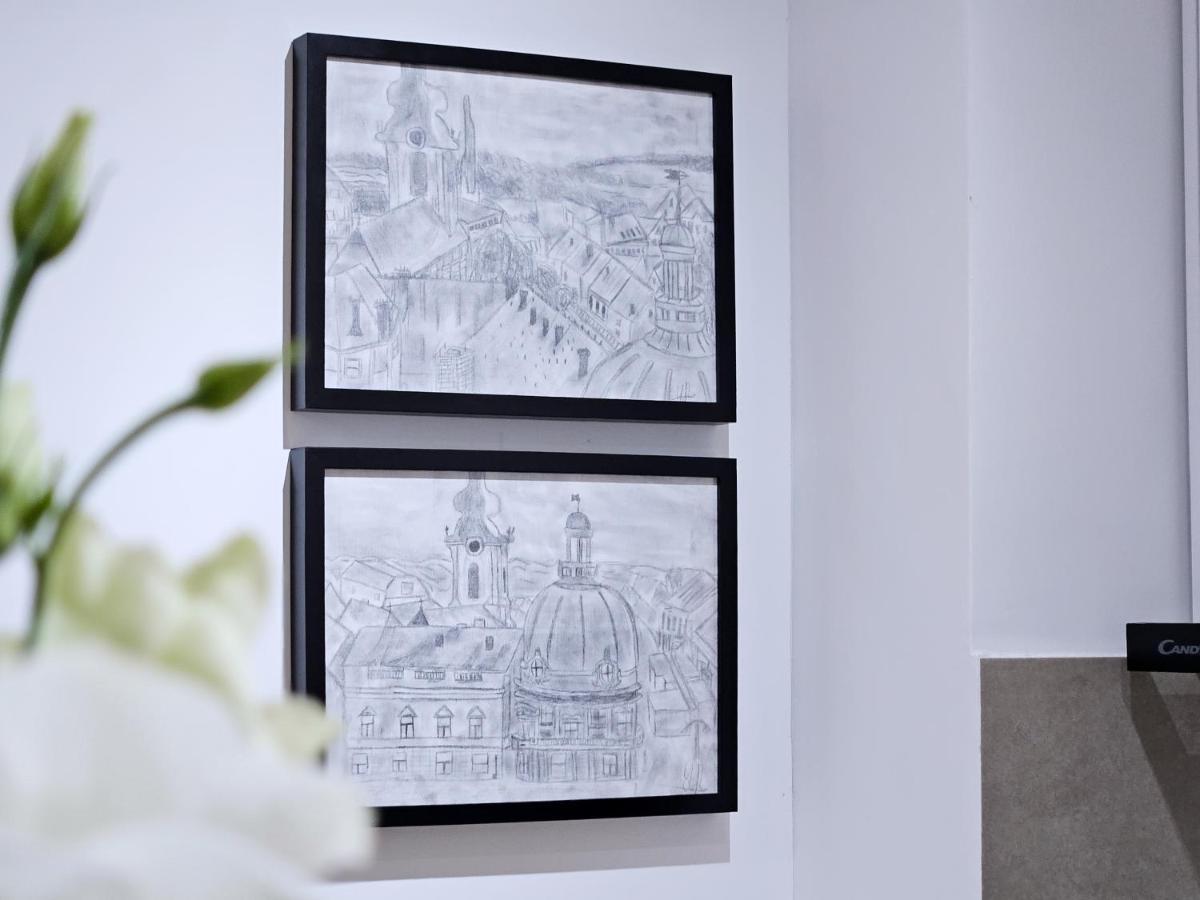 Roman Apartman Сремська Митровиця Екстер'єр фото